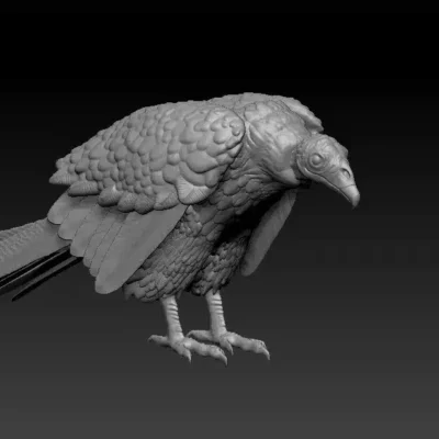 Seated vulture