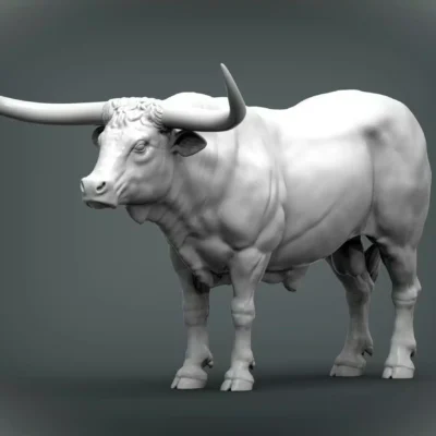 Texas Longhorn cattle bull standing