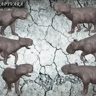 giant capyvara 6 different poses, kit