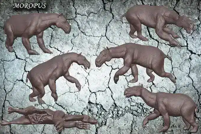 moropus 6 different poses, kit