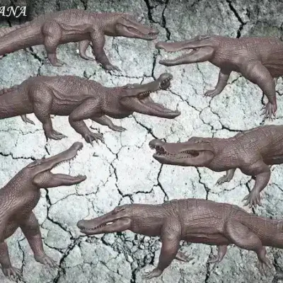 quinkana 6 different poses, kit