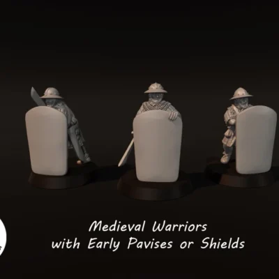 Medieval warriors with early pavises