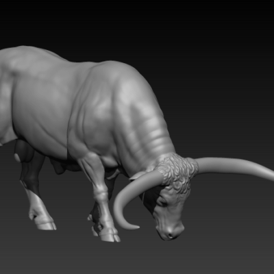 Texas Longhorn cattle bull grazing