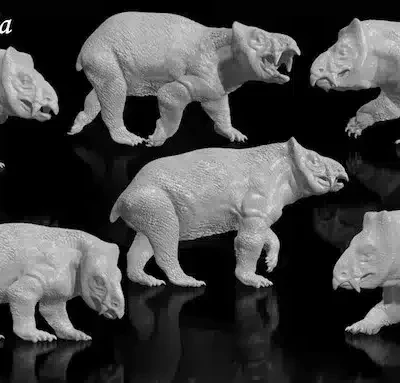 Lisowicia 6 different poses, set