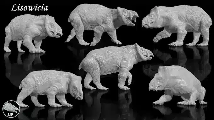 Lisowicia 6 different poses, set