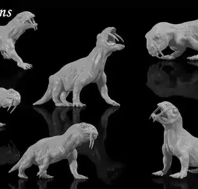 Tiarajudens 6 different poses, set