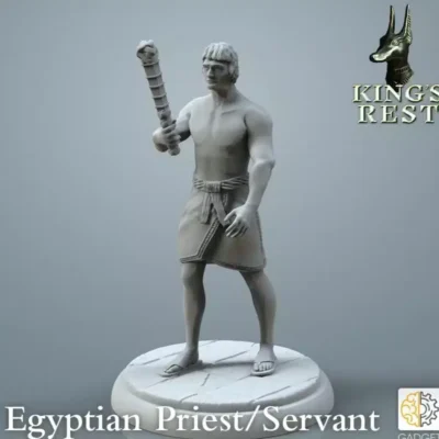 Ancient Egyptian attendant with torch