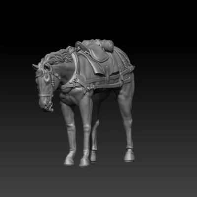 back team horse pose01