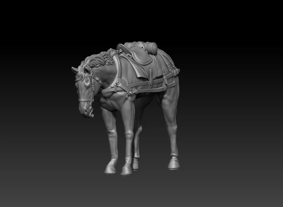 back team horse pose01