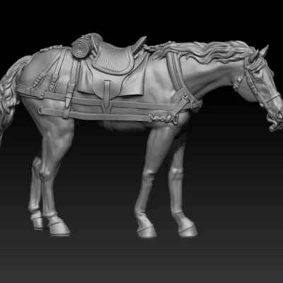 back team horse pose04