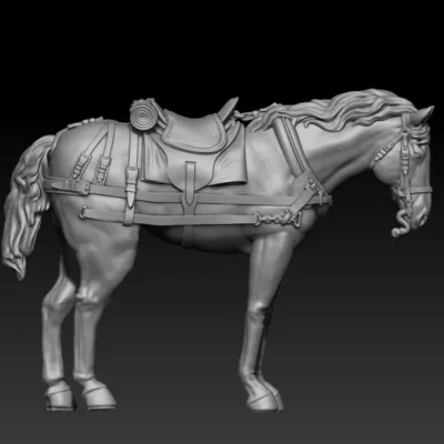 back team horse pose05