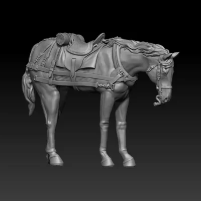 back team horse pose09 thin