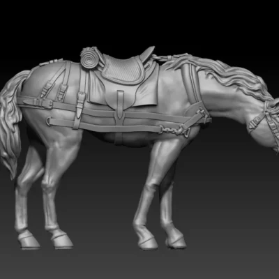 back team horse standing pose02