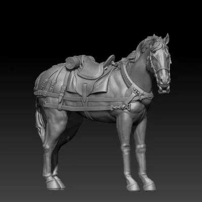 back team horse standing pose03