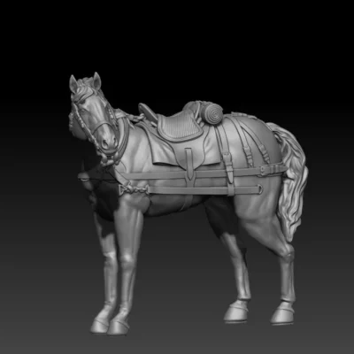 back team horse standing pose08