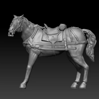 back team horse standing pose10