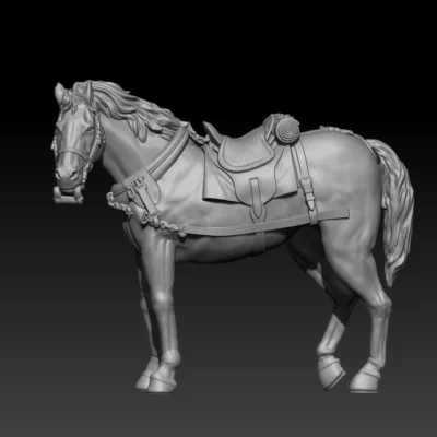 calm front team horse pose01