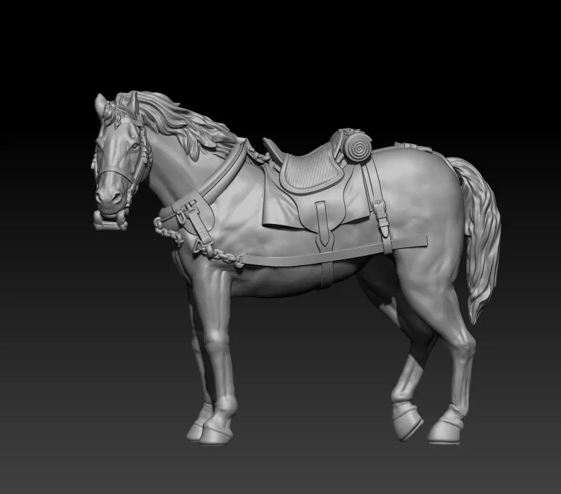 calm front team horse pose01