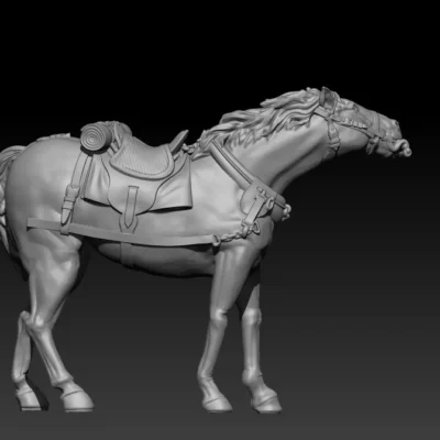 calm front team horse pose02