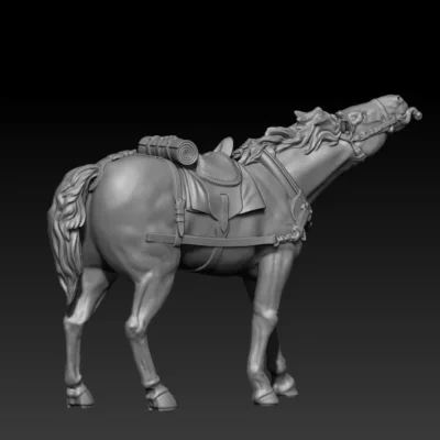 calm front team horse pose03