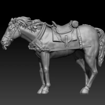 calm front team horse pose04