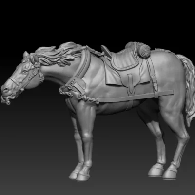 calm front team horse pose09