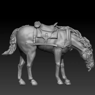 front team horse pose02