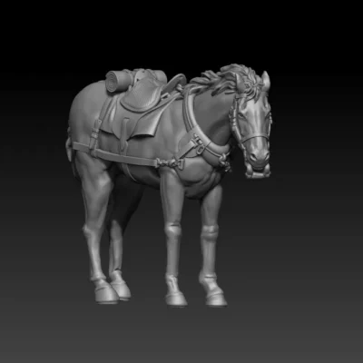 front team horse pose03