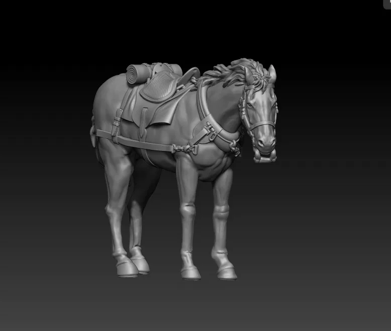 front team horse pose03