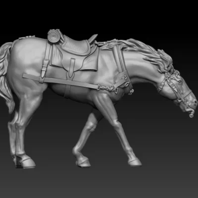 front team horse pose06 refusing