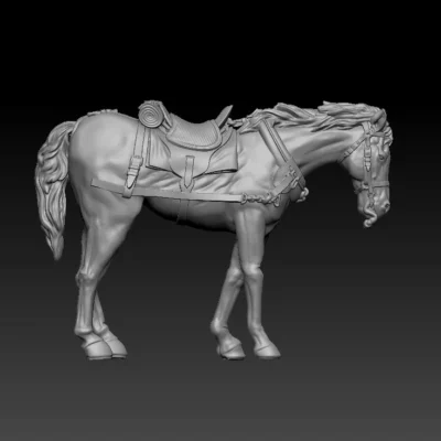 front team horse pose08 thin