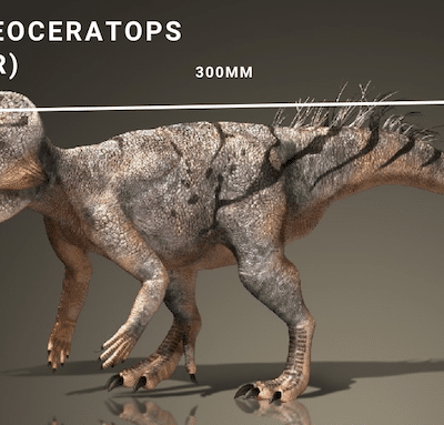 Archaeoceratops Junior, head down - Life Sized Dinosaur