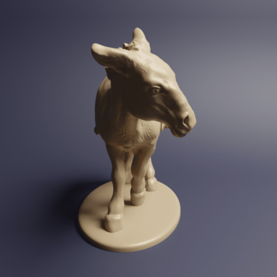 Ancient donkey with blanket