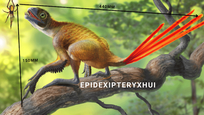 Epidexipteryx Hui, hands out - Life Sized Dinosaur