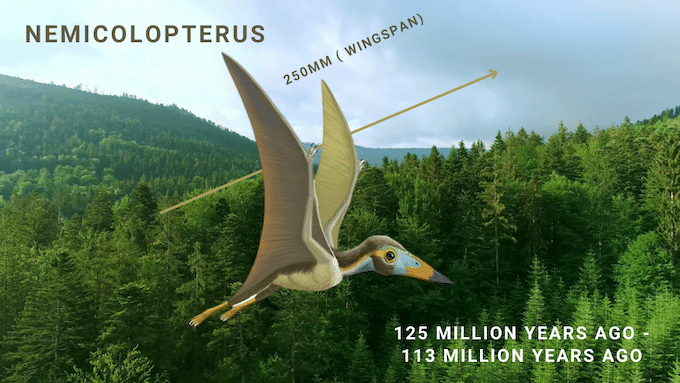 Namicolopetrus, wings down - Life Sized Dinosaur