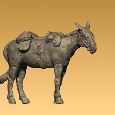 Saddle mule stubborn standing packed