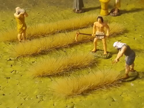 Ancient field working cutting with sickle photo review