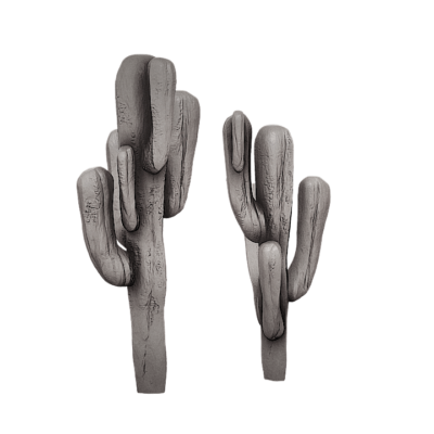 Native American Cactus