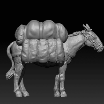 Pack mule standing angry