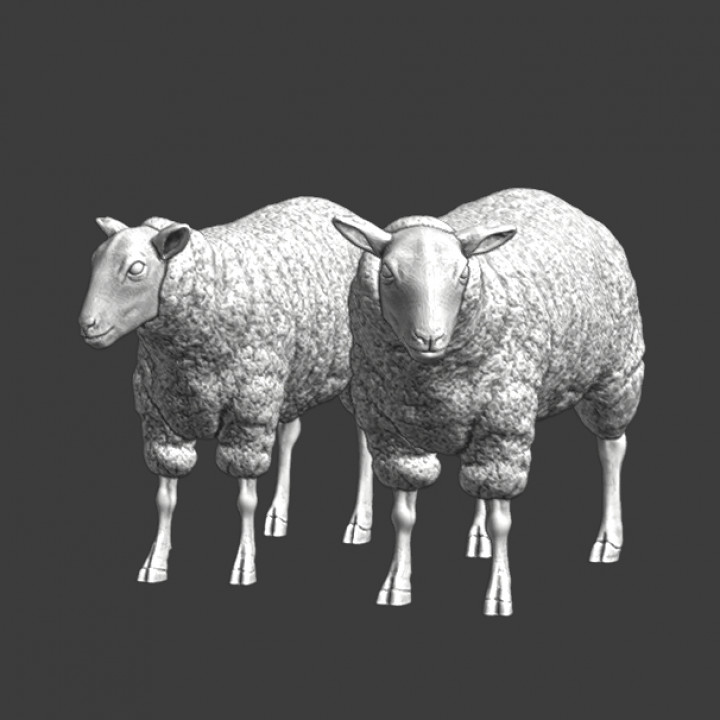 Wargaming props - Sheep