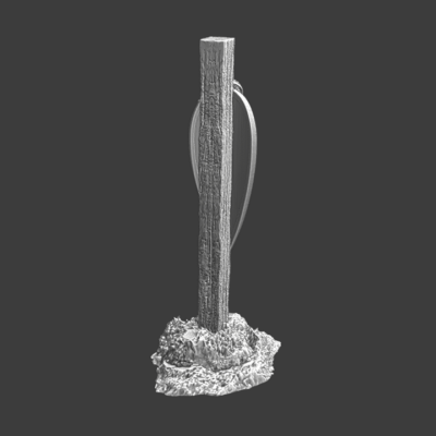 Sword and shield - hanging on pole - NCM