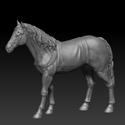 Native American Horse standing still