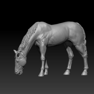 Native American Horse grazing, calm