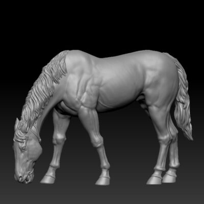 Native American Horse grazing, ears back