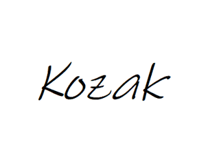 Napoleonic Russian horse artillery 1812-14 - Image 2