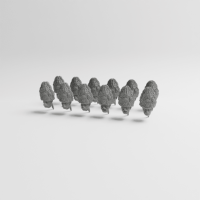 02 Saxon bearskin Grenadiers Private