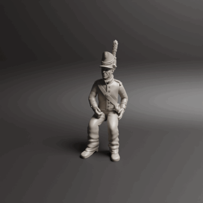 Napoleonic Portuguese Drivers 2a