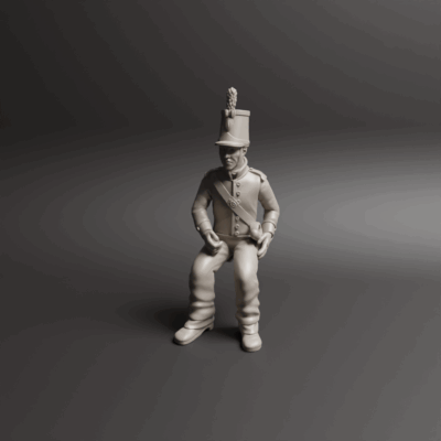 Napoleonic Portuguese Drivers 2b