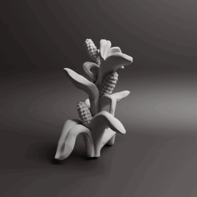 Inca Empire cornplant