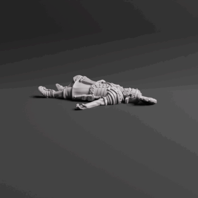 Roman Casualty 10 Dec